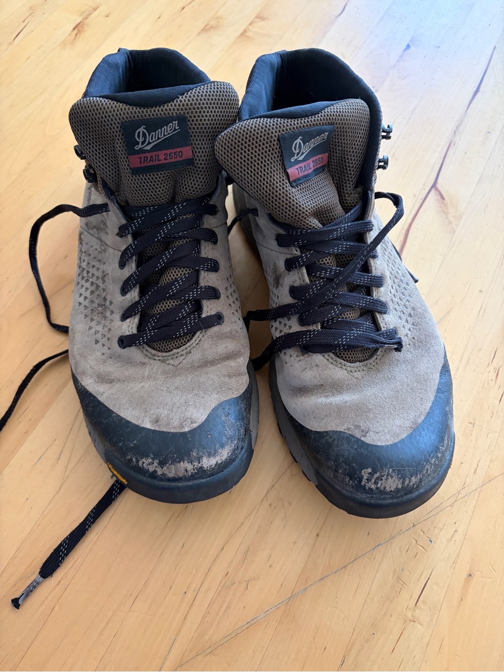 Danner Men's Trail 2650 Hiking Boots in Gray and Black